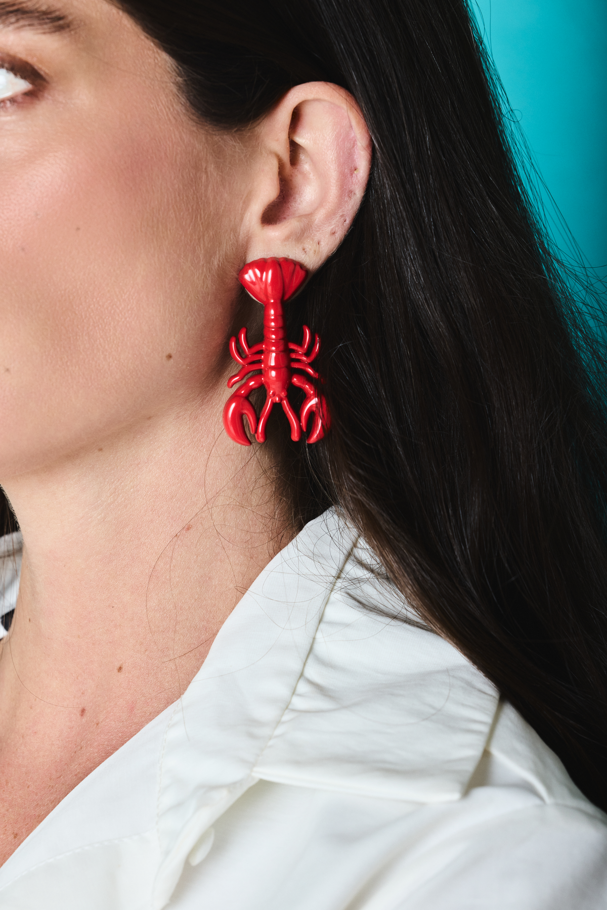 Brinco Lobster