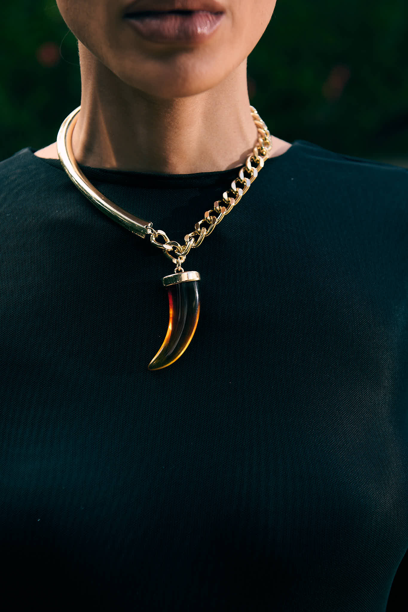 Choker Dente de Tigre