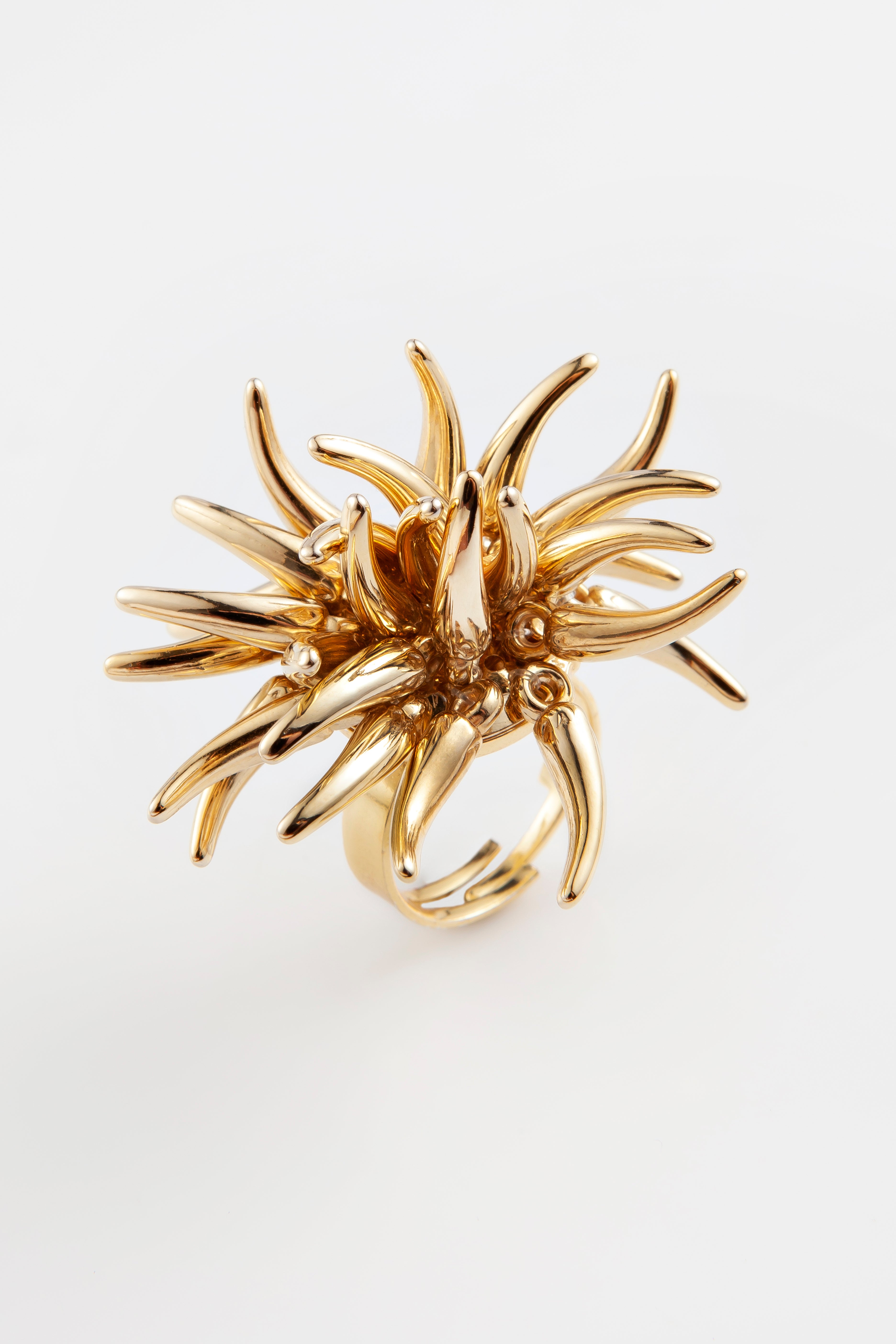 Anel Regulável Cacto